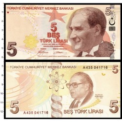Банкнота 5 лир Турция. Портрет Аудина Сайли. 2009 год