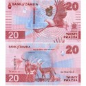 Замбия 20 квача кәгазь акчасы. 2024 ел