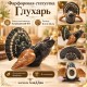 Фарфоровая статуэтка Глухарь